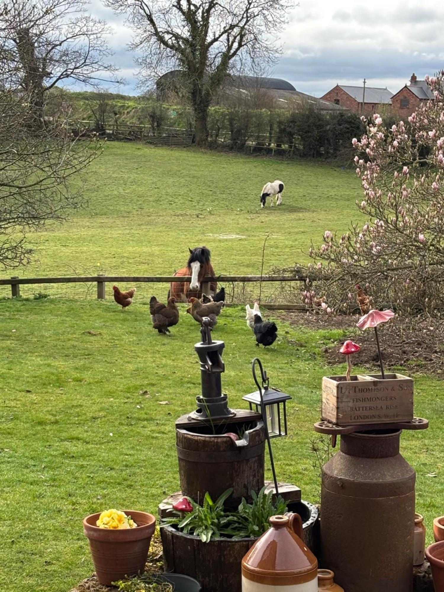 Bumbleberry Cottage Gresford Esterno foto